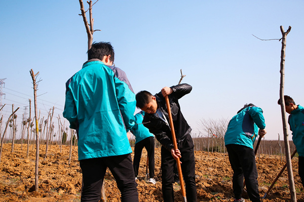 “攜手植樹，共創(chuàng)藍天”丨南京新華師生共筑新華育才林