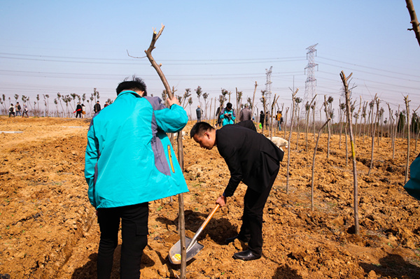 “攜手植樹，共創(chuàng)藍天”丨南京新華師生共筑新華育才林