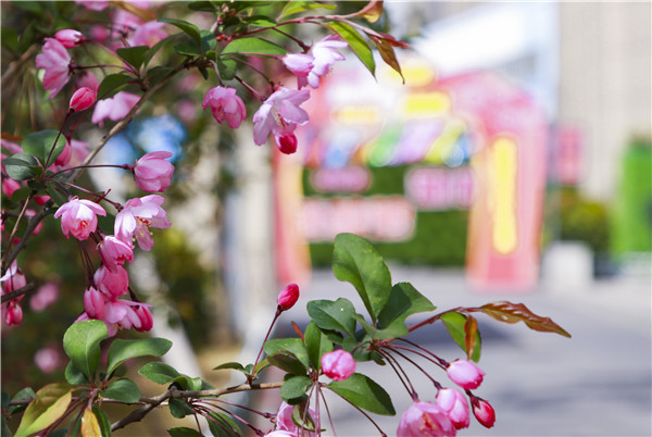 春暖花開，等你歸來——邀你云賞南新春景，以慰思念